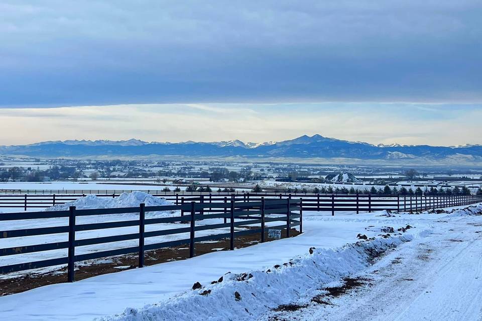 Winter Views
