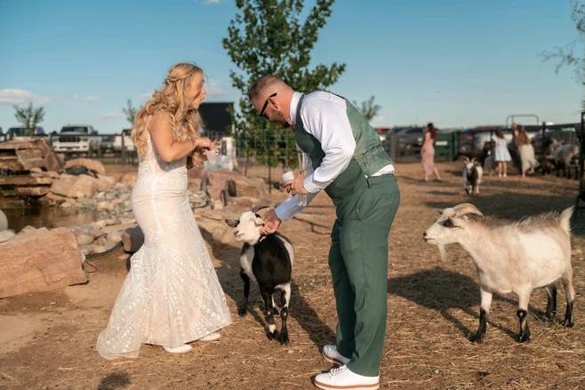 Petting zoo