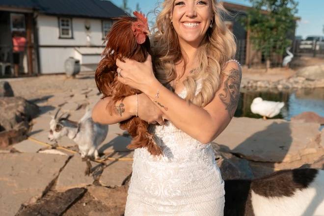 Bride at petting zoo