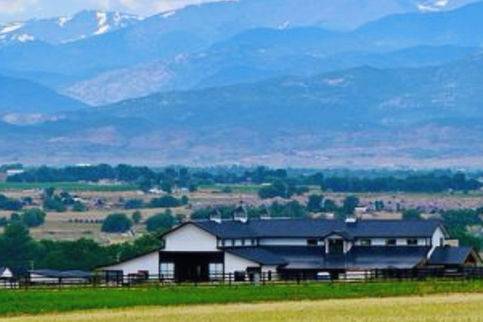 Mountain View Menagerie