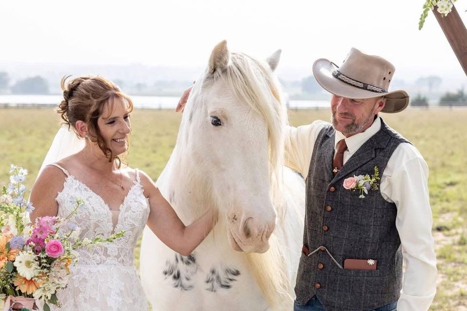 Horses at ceremony