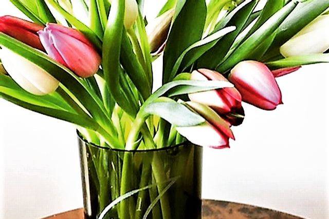 A vase for all time!