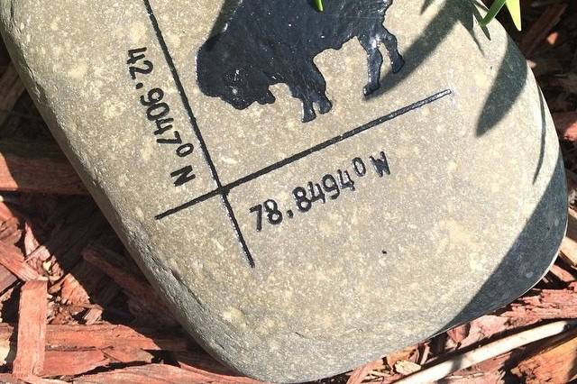 Tell us YOUR special coordinates to be engraved on a lake rock, along with a standing buffalo, made a great keepsake for a newly married couple from Buffalo, NY. We can customize anywhere in the world. Just give us the address!