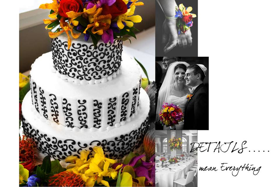 aRiana muRillo photogRaphy