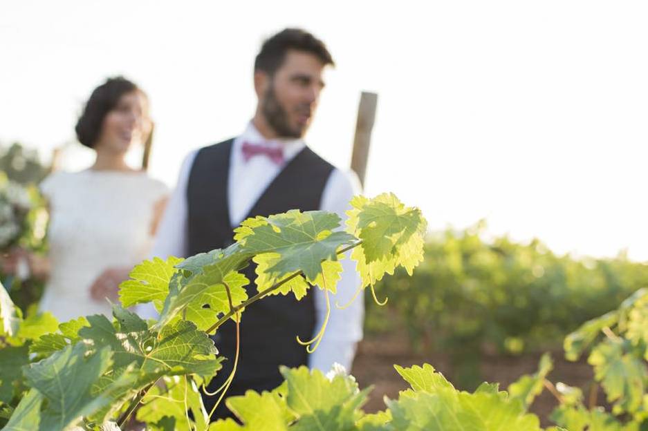 Delaney Vineyards Winery Weddings Grapevine, TX WeddingWire