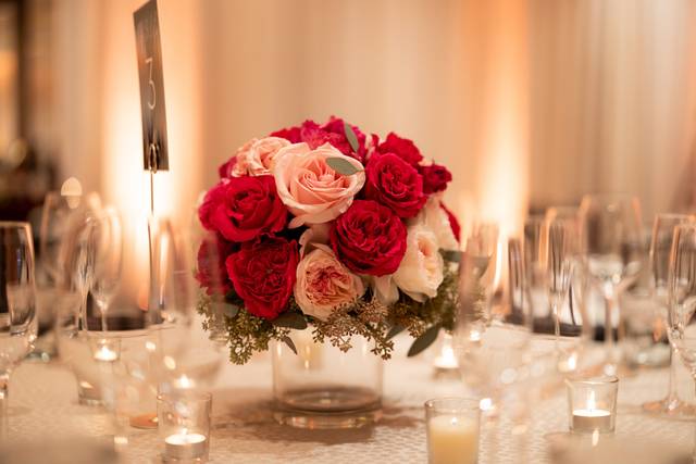 Lavanda & Eucalypto Designs