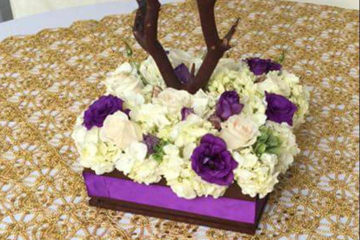 Jose Arrangements