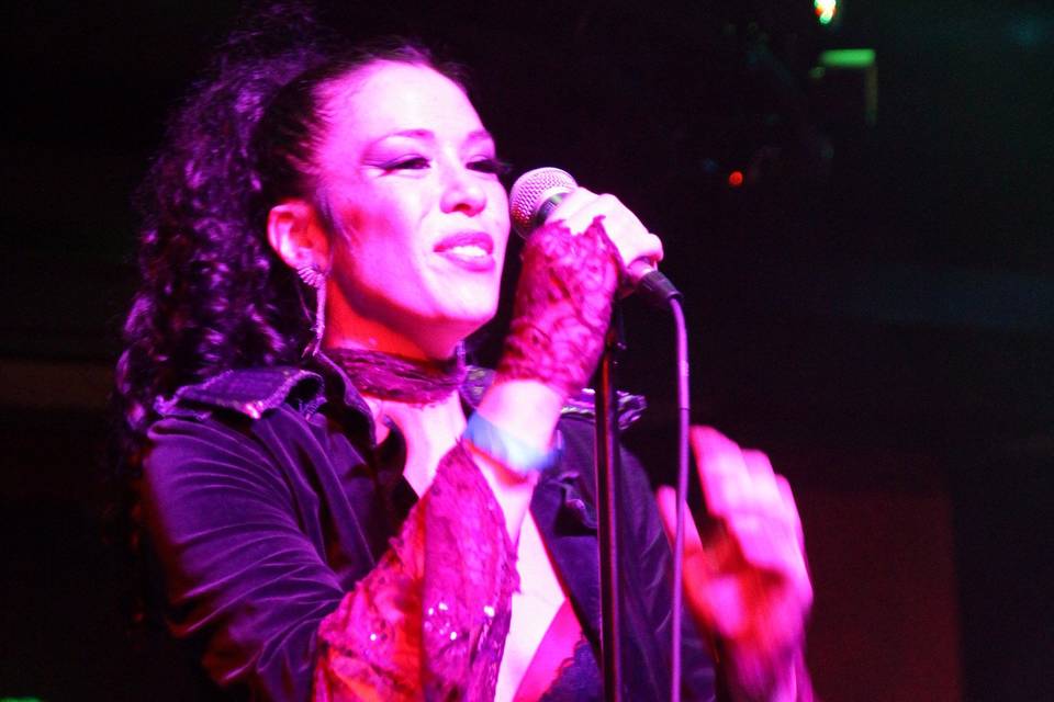 The Purple Ones - Insatiable Tribute to Prince