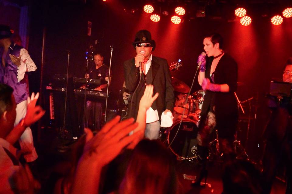 The Purple Ones - Insatiable Tribute to Prince