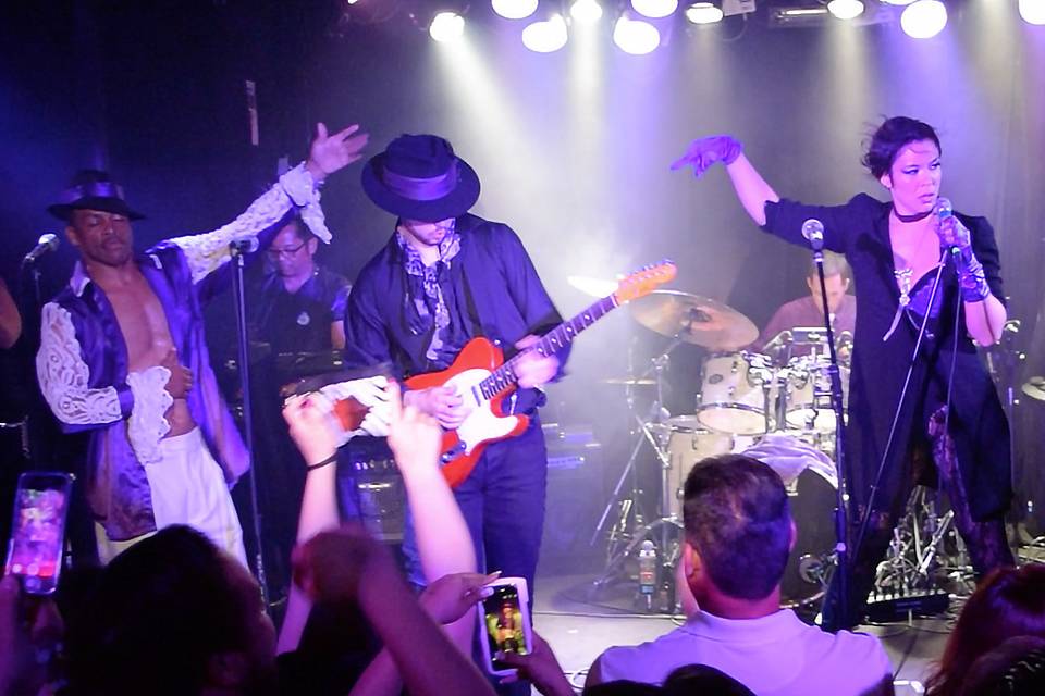 The Purple Ones - Insatiable Tribute to Prince