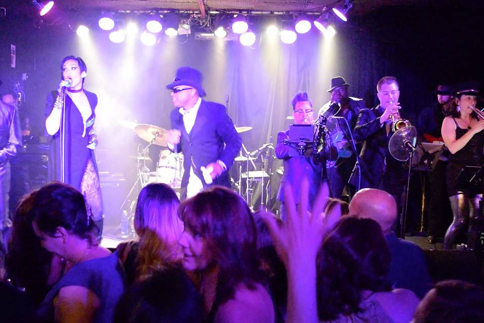 The Purple Ones - Insatiable Tribute to Prince