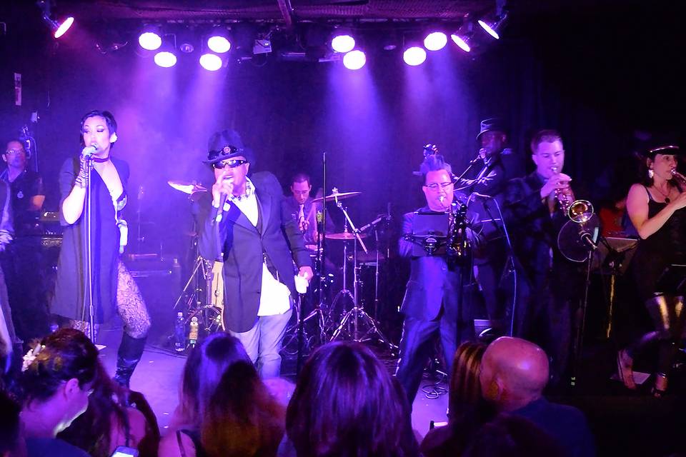 The Purple Ones - Insatiable Tribute to Prince