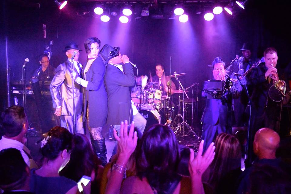 The Purple Ones - Insatiable Tribute to Prince