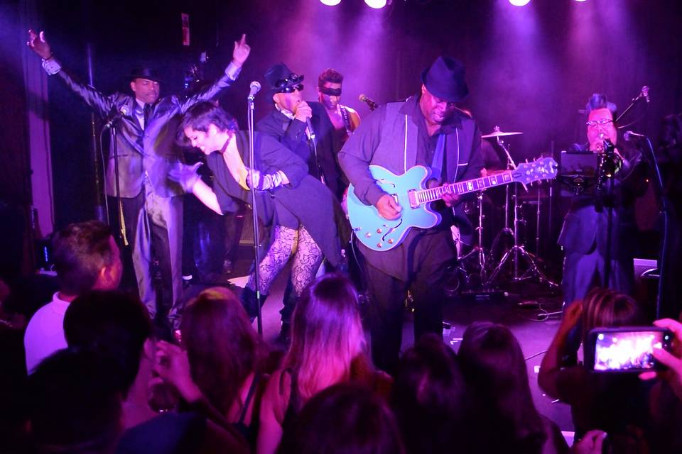 The Purple Ones - Insatiable Tribute to Prince
