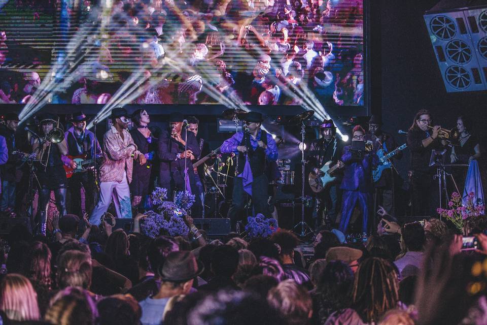 The Purple Ones - Insatiable Tribute to Prince