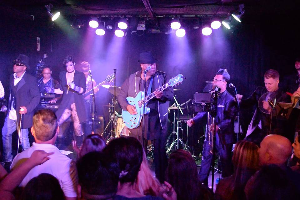 The Purple Ones - Insatiable Tribute to Prince