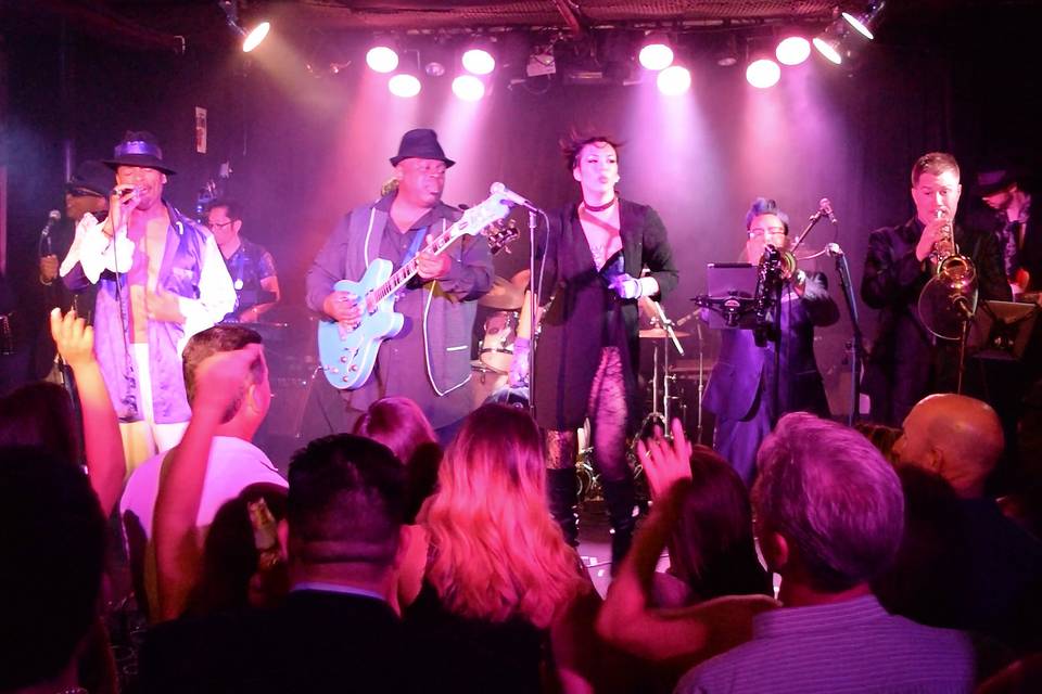 The Purple Ones - Insatiable Tribute to Prince