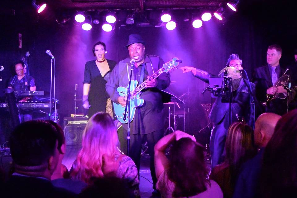 The Purple Ones - Insatiable Tribute to Prince