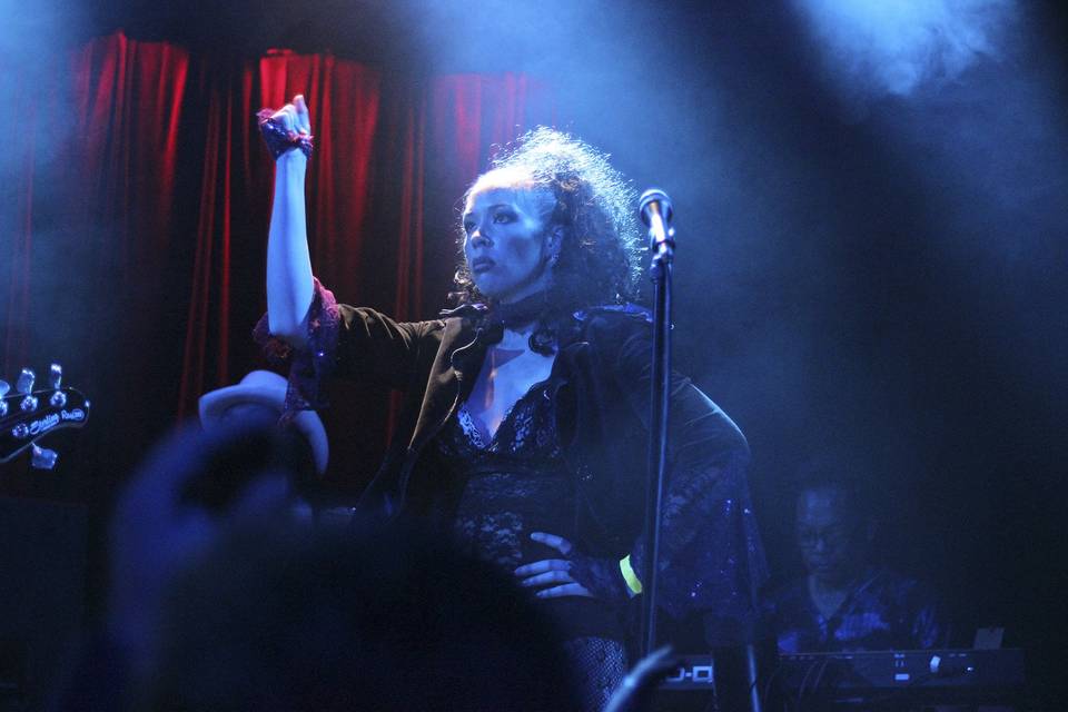 The Purple Ones - Insatiable Tribute to Prince