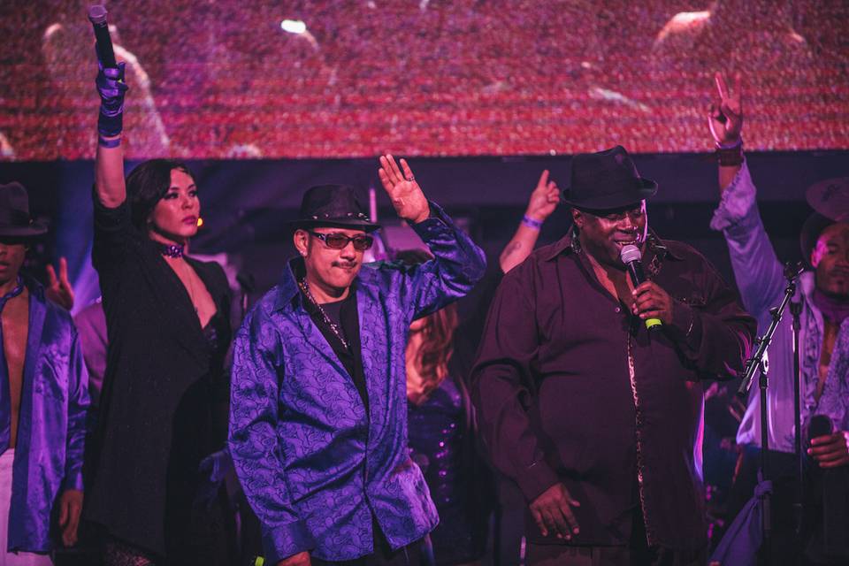 The Purple Ones - Insatiable Tribute to Prince