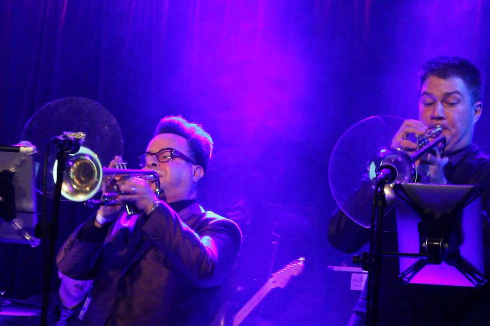 The Purple Ones - Insatiable Tribute to Prince