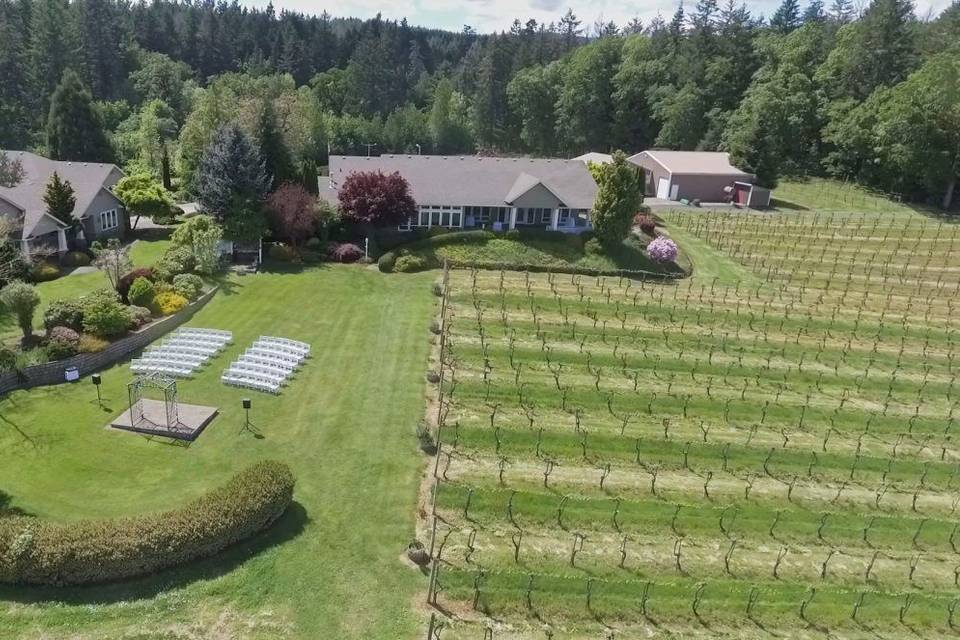 BeckenRidge Vineyard