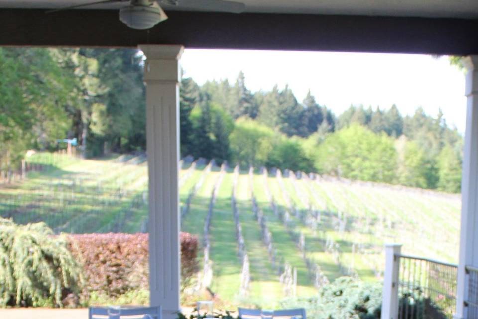 BeckenRidge Vineyard