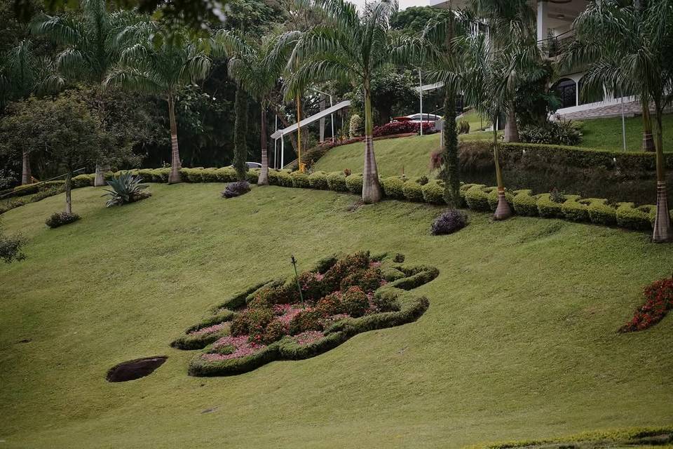 DIVINA PROVIDENCIA