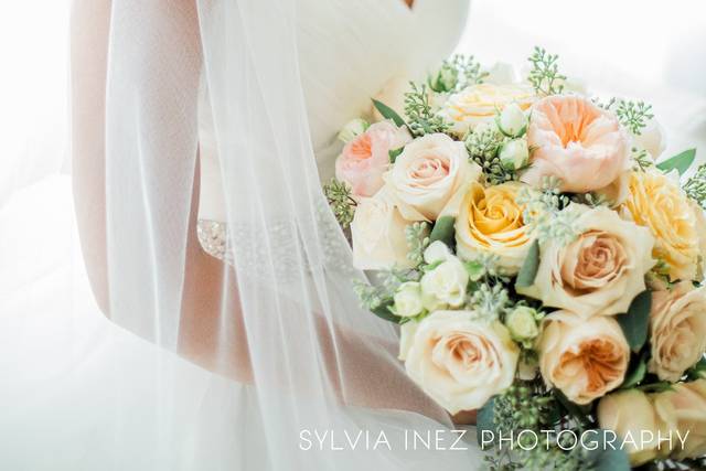 Sylvia Inez Photography