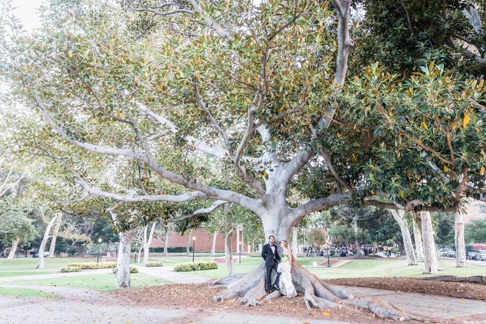 Majestic trees on-site