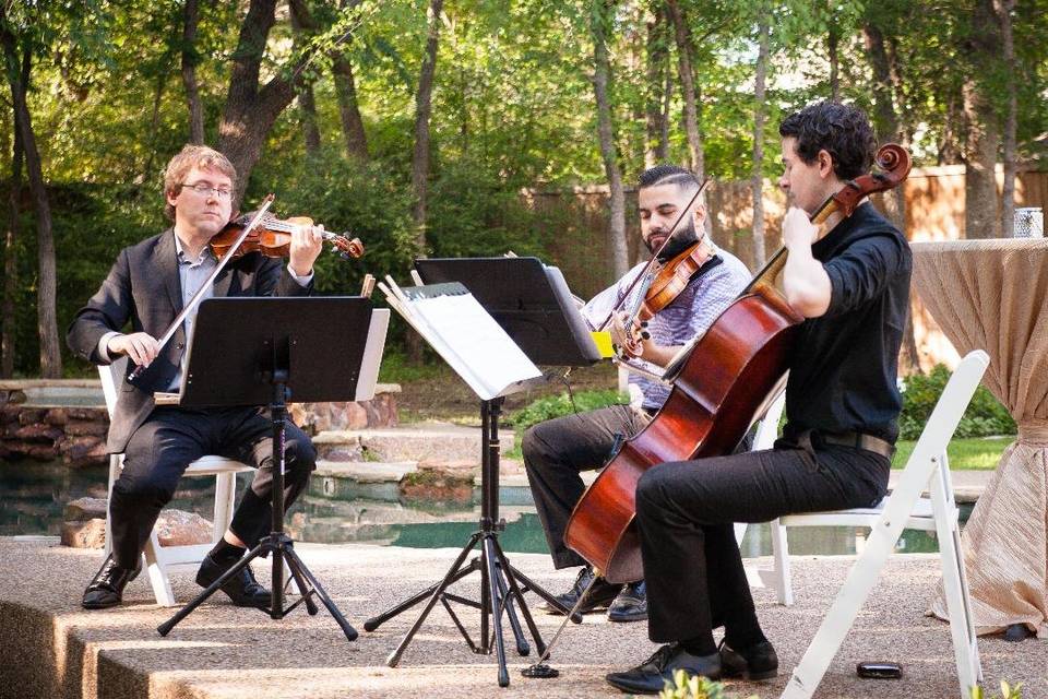 String trio outdoors