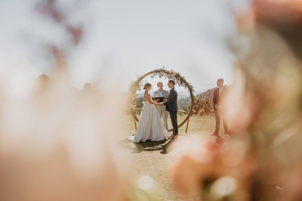 Ceremony in the sunshine