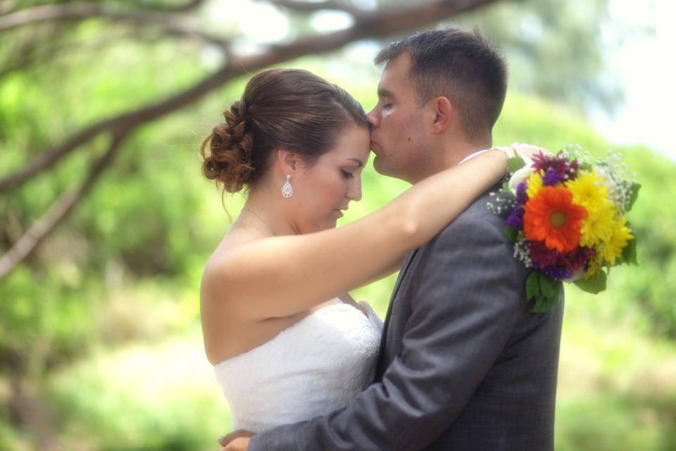 Island Limousine Oahu, HI | Botanical Garden wedding