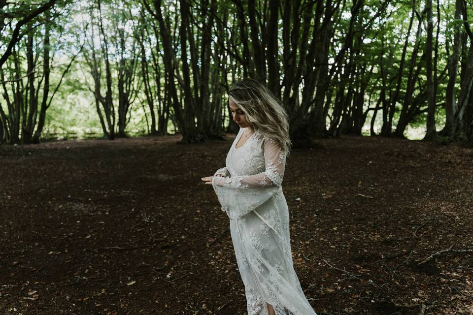 Lost into the woods