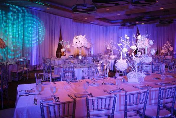 My Party Production