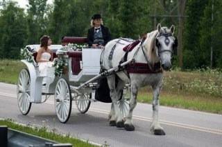 Camelot Carriage Rides