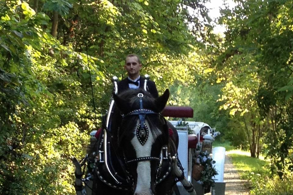 Camelot Carriage Rides