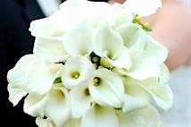 Winchester's Florist/Creations by Llyn
