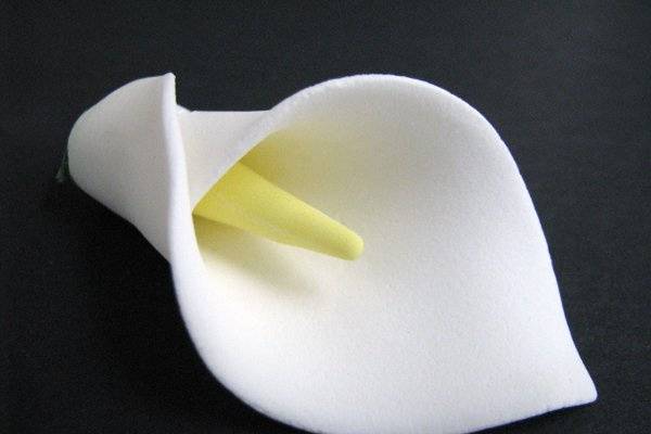 http://www.gumpasteflowerstore.com/