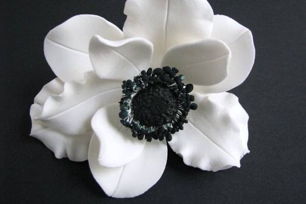 Anemone Wind Flower