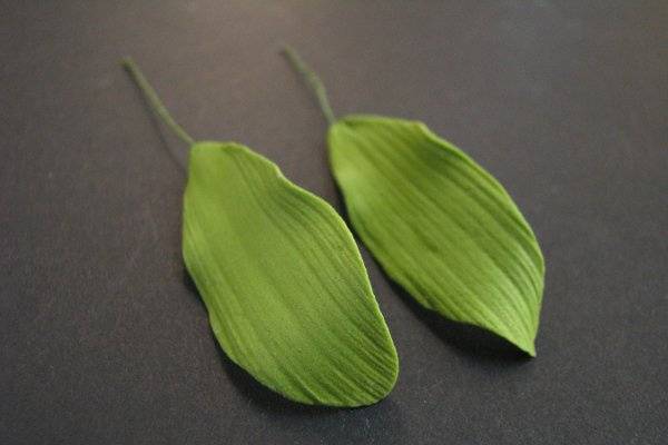 Alstroemeria Leaves