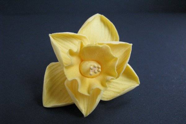 Daffodil - Yellow