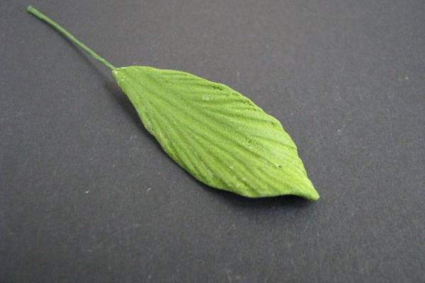 Calla Lily Leaves 1 - http://www.gumpasteflowerstore.com/callalily1.html