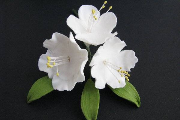 3 Petunia Spray (White) - http://www.gumpasteflowerstore.com/gumpaspfl.html