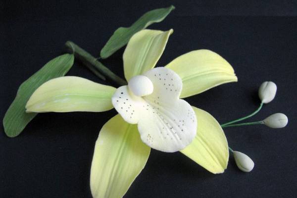 Bosky Orchid Spray - http://www.gumpasteflowerstore.com/boorsp1.html