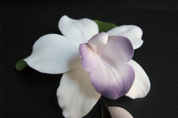 Pearly Orchid Spray - http://www.gumpasteflowerstore.com/peorsp1.html