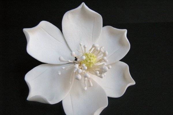 Magnolia - http://www.gumpasteflowerstore.com/magnolia1.html