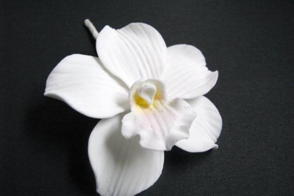 Cymbidium Orchid (White) - http://www.gumpasteflowerstore.com/orchids.html
