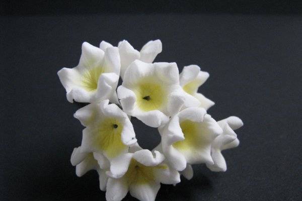 Apple Blossom (White) - http://www.gumpasteflowerstore.com/appleblossom.html