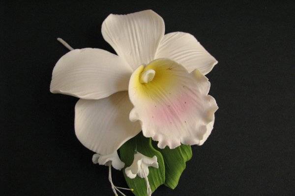 Cymbidium Orchid Spray - Ivory